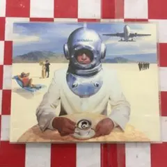 だぁー様 リクエスト 2点 まとめ商品