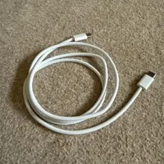 Apple純正 編み込み式 USB Type-Cケーブル