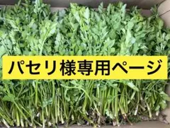 パセリ様専用ページです。 セリ