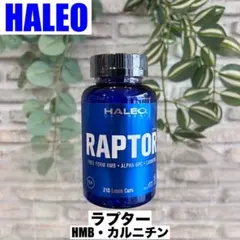 高品質】HALEO マッハ6 ハレオ MACH6 アミノ酸 - メルカリ