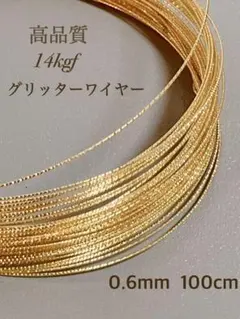 新商品　14kgf スパークルグリッターワイヤー　ハード 0.6mm　1m