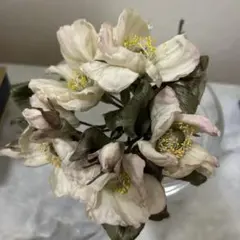 saco様 リクエスト 2点 まとめ商品