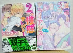 ボーイズラブ BL 漫画 バラ売り - メルカリ