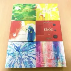MAISON CACAO メゾンカカオ チョコレート 空箱6個セット