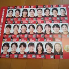 ビックカメラ女子ソフトボール部 応援グッズ 2025