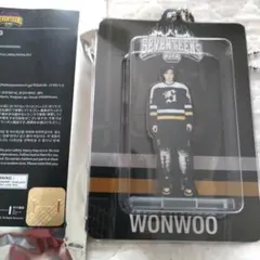 SEVENTEEN HOME ウォヌ　銀テ付き