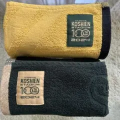 Item thumbnail for item 9c754273-828a-4692-8b94-9ea3d7a661af