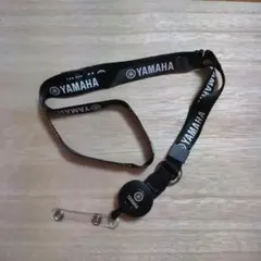 Item thumbnail for item 60e8aa5e-3204-4ceb-920b-adf63fd37c82