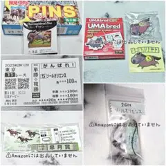 【競馬】ソールオリエンス グッズセット