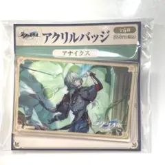 崩壊スターレイル　スタレ　ローソン　アナイクス　アクリルバッジ キャラセット（アナイクス）アクリルバッジ/アクリル