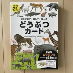 Item thumbnail for item 83c05e10-f501-49ff-8144-09f8a83327dc