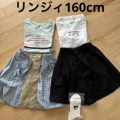 リンジィ160cm まとめ売り