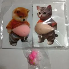 △　お腹　ぽっこり　シリコン　ぷにぷに　ステッカー　猫　柴犬　シール