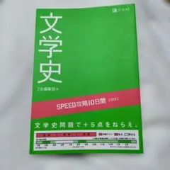 文学史 SPEED攻略10日間 Z会編集部