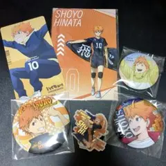 ハイキュー　日向翔陽　烏野