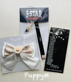 straykids スキズ 5-STAR アクリルキーホルダー スンミン