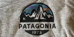 patagonia Men's Capilene Cool Daily Tee①