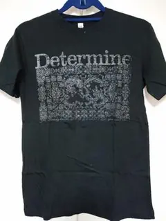 Item thumbnail for item 65fefa98-23d5-4552-a7f6-6e4deb8d8cd8