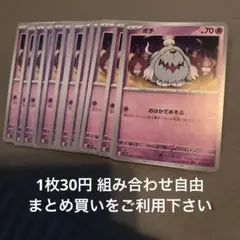 ボチ　在庫20