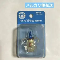 ディズニーリゾート　パークフード　ミニチュア　ミッキー アイスクリーム