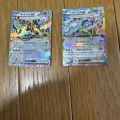 ポケモンカード モトトカゲex テラパゴスex RR 2枚セット