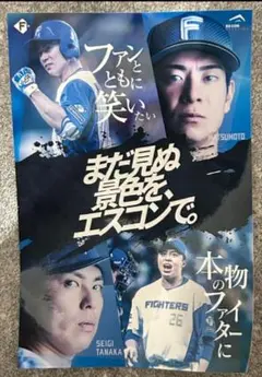 ファイターズ 松本剛 田中正義 ステッカー