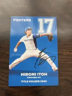 伊藤大海 FIGHTERS 17 タイトルホルダー