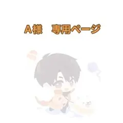 A様　専用ページ　6点