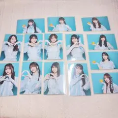 ネーブルオレンジ アイドル