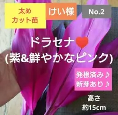 けい様 リクエスト 2点 まとめ商品