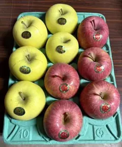 まちこ様専用青森県産　減農薬栽培　サンふじ&ゴールド10キロ贈答品