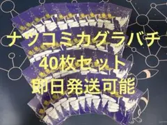 カグラバチ ナツコミ メタキラカード 六平千紘 50枚セット - メルカリ