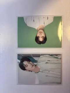 FOLLOW AGAIN to japan ディノ　2枚セット