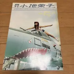 月刊小池栄子
