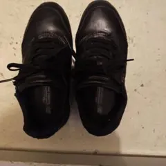 Item thumbnail for item 4e82d7c3-d5d7-42ce-8e32-6dc87991075f