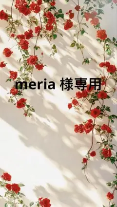 meria 様一枚明日発送