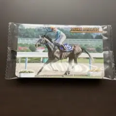 まねき馬 復刻No.J-12 メジロマックイーン