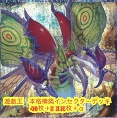 遊戯王 本格構築インセクターデッキ40枚＋E X15枚+α - メルカリ
