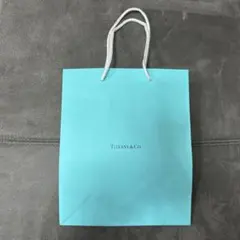 Tiffany & Co. ショップ袋 横20.3 縦24.5 幅10.3のサムネイル
