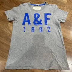 Item thumbnail for item 0b97241b-5cdc-45e9-a5bc-ea50e8174d39