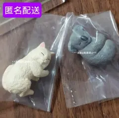 Hug!Hug!Zoo! ねこ&コアラ 2点セット まとめ売り