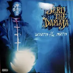 2025年最新】jeru the damajaの人気アイテム - メルカリ