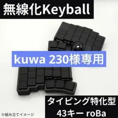 FromNkichi ロープロ版 roBa 組立済み完成品 FromNkichi ロープロ版 roBa 組立済み完成品 FromNkichi様専用