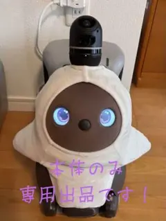 lovot ラボット 2.0 茶 今年ラボットドッグでメンテ済み 嫁入り道具多数