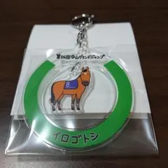 2024年G1レース優勝馬 アクリルキーホルダー - メルカリ