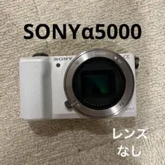 SONY α5000 ミラーレスカメラ ボディのみ 白