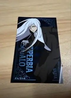 中国限定 家庭教師ヒットマンREBORN スクアーロ