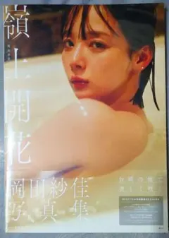 2026年最新】岡田紗佳写真集の人気アイテム - メルカリ