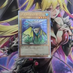 2026年最新】栄冠 25thの人気アイテム - メルカリ