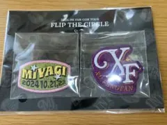 【INI】FLIP THE CIRCLE ワッペンシール 宮城・許豊凡